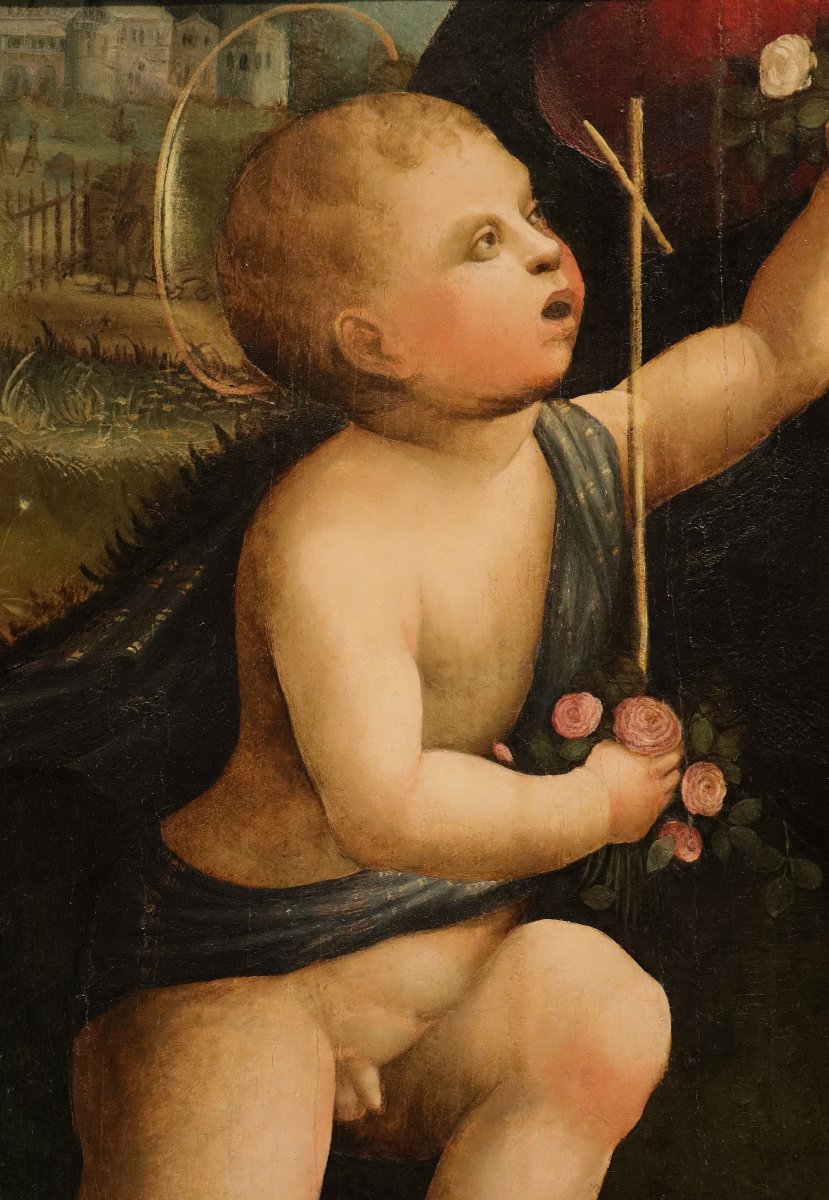 Saint Jean-Baptiste enfant, Marco Palmezzano (Forlì, vers 1459 – 1539) et atelier -photo-4