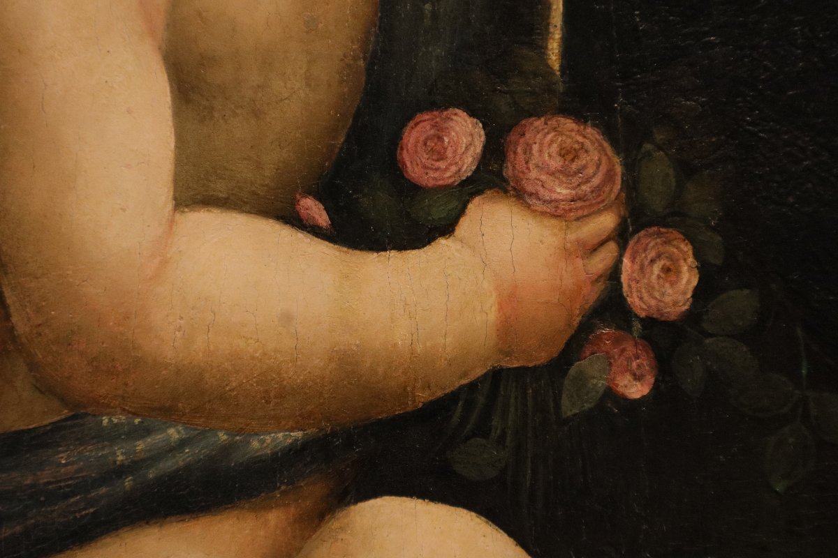Saint Jean-Baptiste enfant, Marco Palmezzano (Forlì, vers 1459 – 1539) et atelier -photo-4