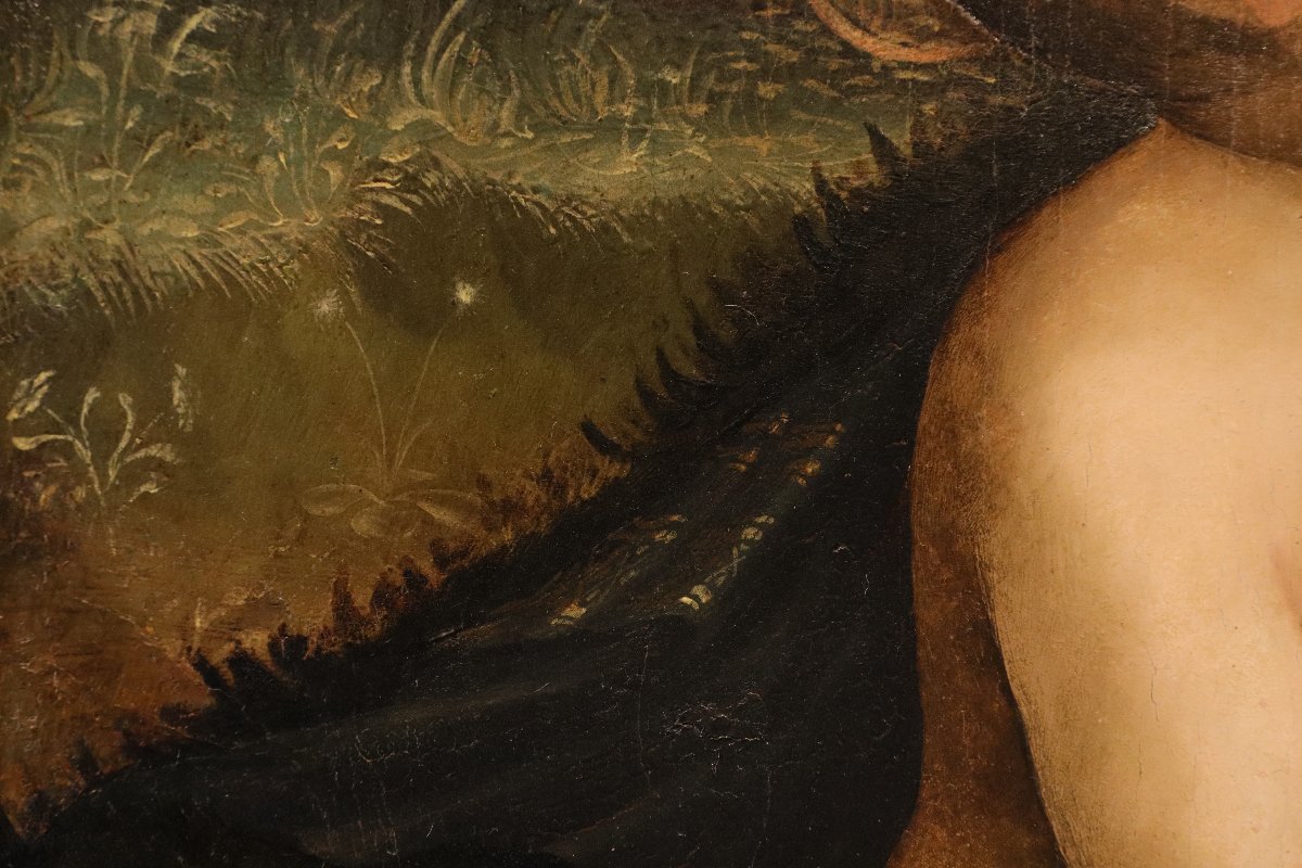 Saint Jean-Baptiste enfant, Marco Palmezzano (Forlì, vers 1459 – 1539) et atelier -photo-6