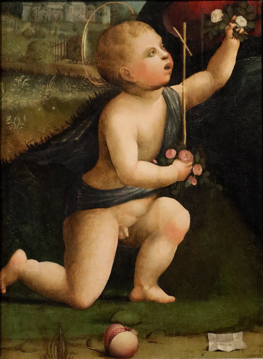 Saint Jean-Baptiste enfant, Marco Palmezzano (Forlì, vers 1459 – 1539) et atelier 