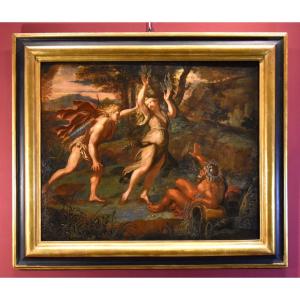 Giovanni Angelo Canini (rome, 1608 - Rome, 1666) - The Myth Of Apollo And Daphne
