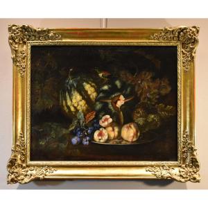 Still Life Of Fruit With Green Woodpecker, Franz Werner Von Tamm (hamburg 1658 - Vienna 1754) 