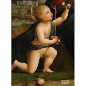 Saint Jean-Baptiste enfant, Marco Palmezzano (Forlì, vers 1459 – 1539) et atelier 