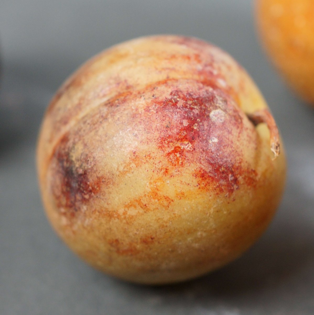 Ensemble de 13 Fruits En Marbre De Carrare Polychrome Nature Morte 19éme-photo-3
