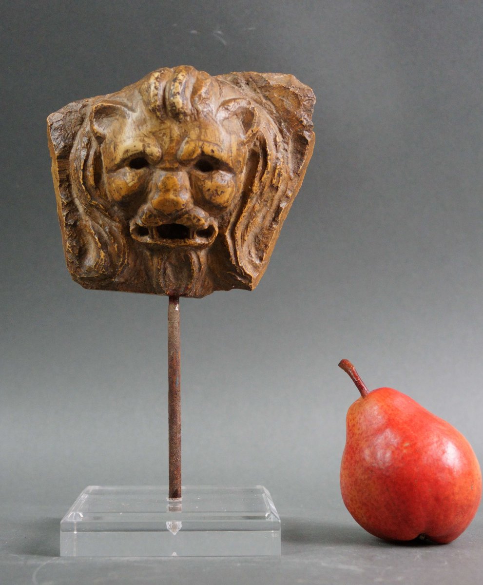 Mascaron En Marbre Jaune Lion Fragment  Italie 17éme-photo-3