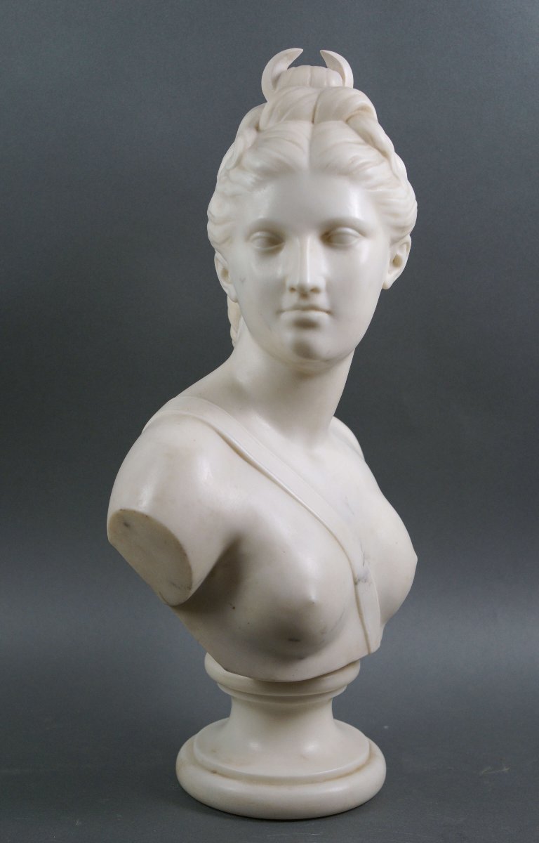 19th Carrara Marble Bust Diana The Huntress-photo-2