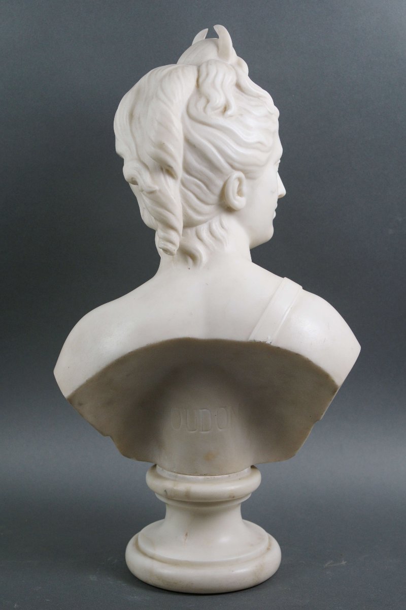 19th Carrara Marble Bust Diana The Huntress-photo-3