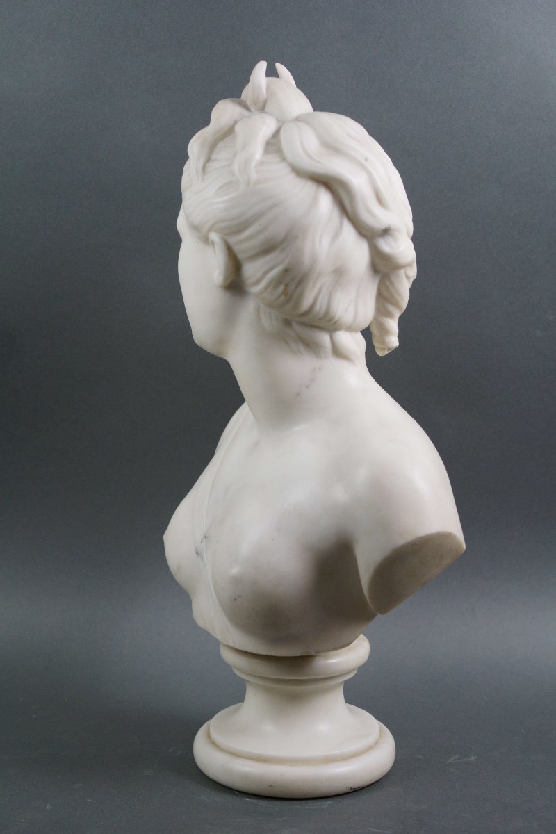 19th Carrara Marble Bust Diana The Huntress-photo-4
