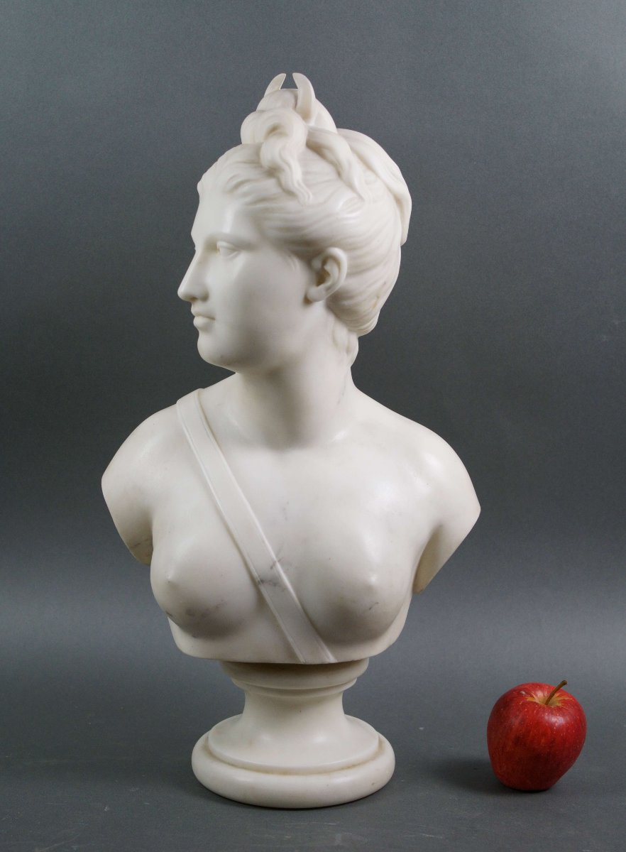 19th Carrara Marble Bust Diana The Huntress-photo-2