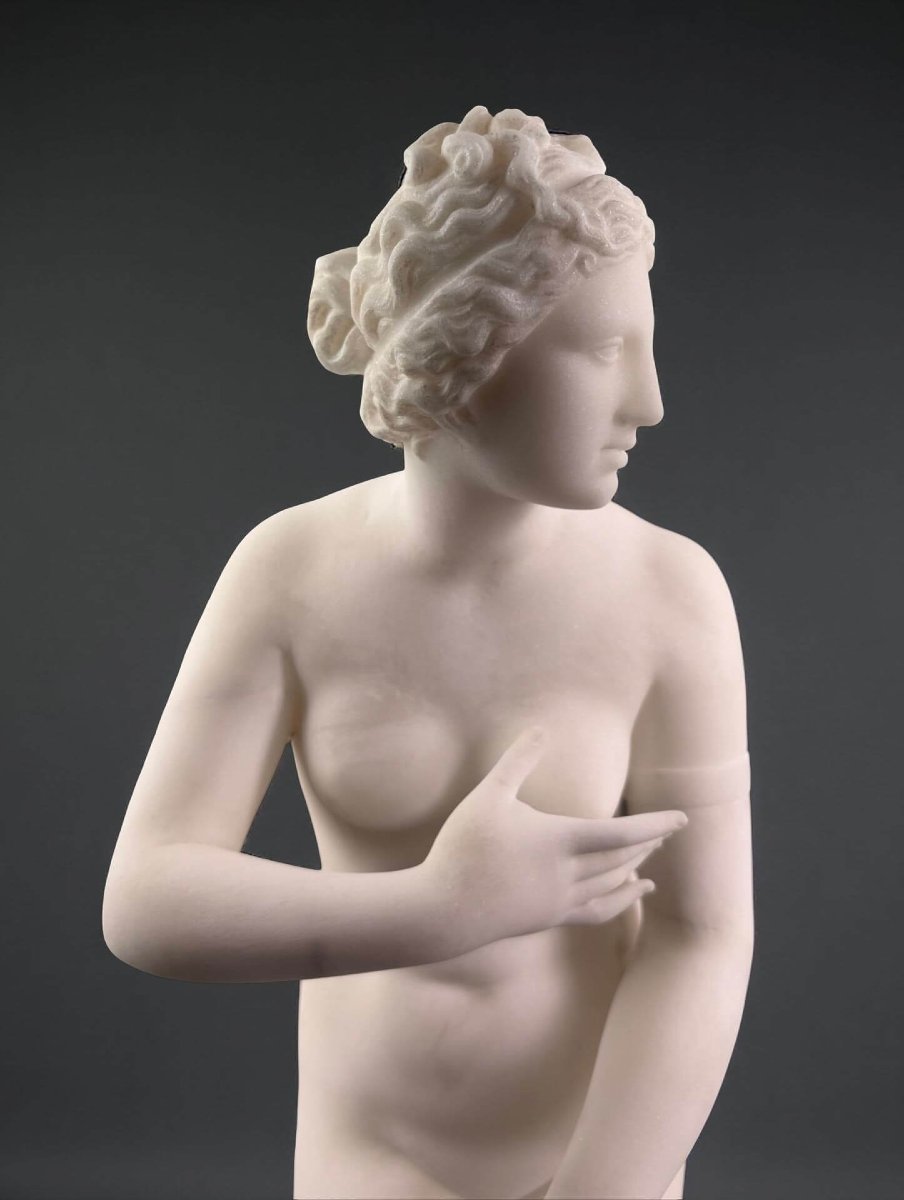 19th Carrara Marble Sculpture Venus De' Medici Florentine Workshop-photo-1