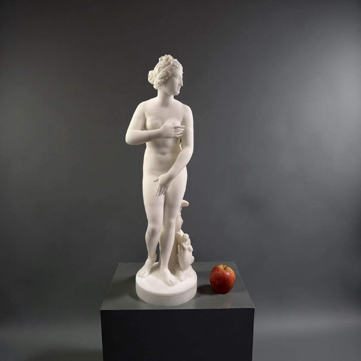 19th Carrara Marble Sculpture Venus De' Medici Florentine Workshop-photo-8