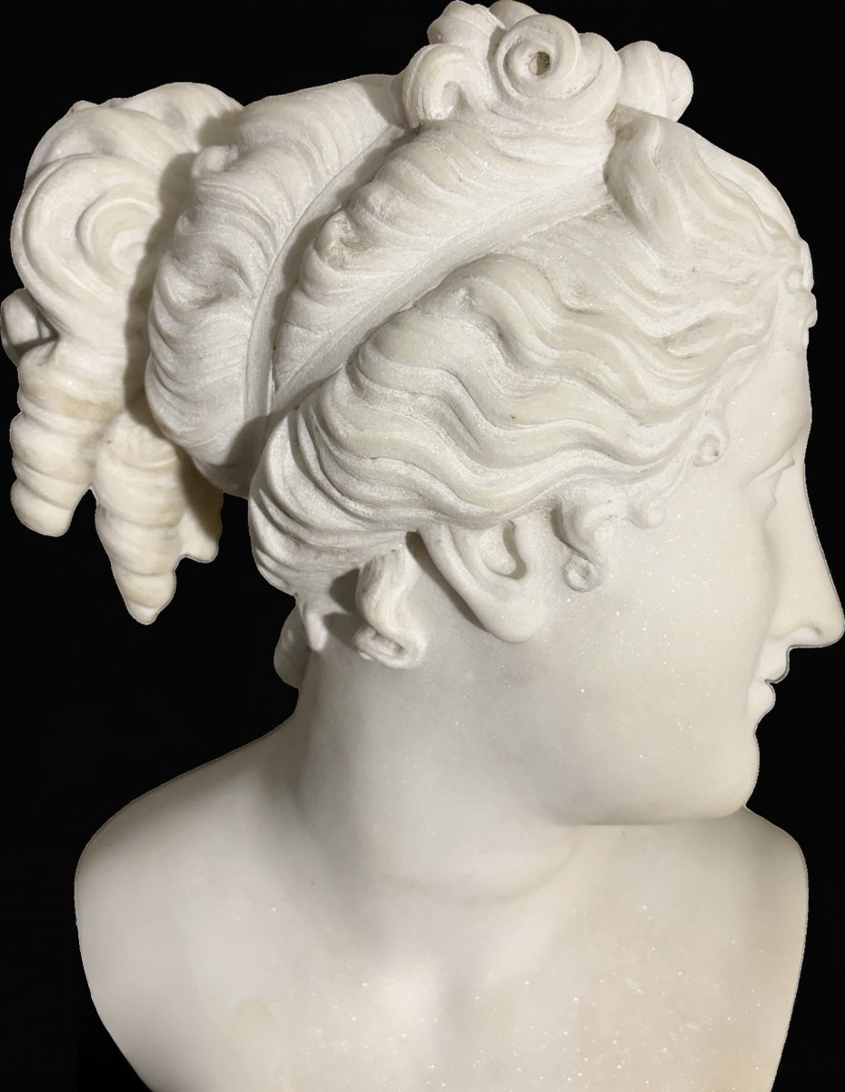 Antonio Frilli (1830-1902) 19th Statuary Marble Bust Of Venus Italica-photo-3