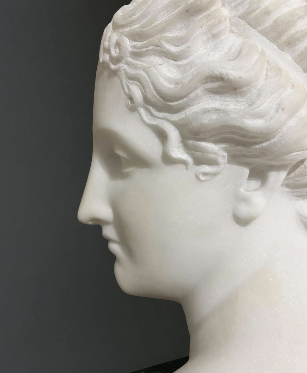 Antonio Frilli (1830-1902) 19th Statuary Marble Bust Of Venus Italica-photo-3