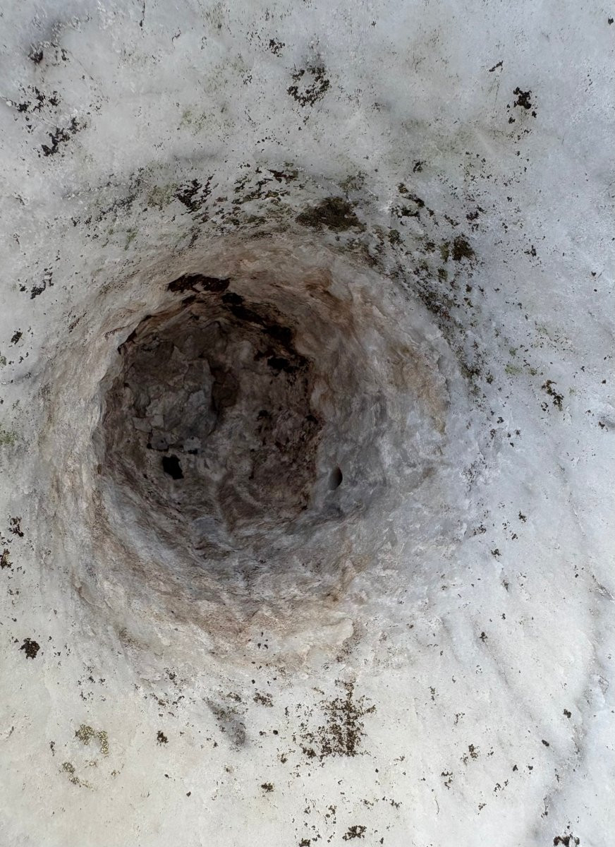 17th Italian Pair Of Medici Vases In Carrara Marble-photo-7