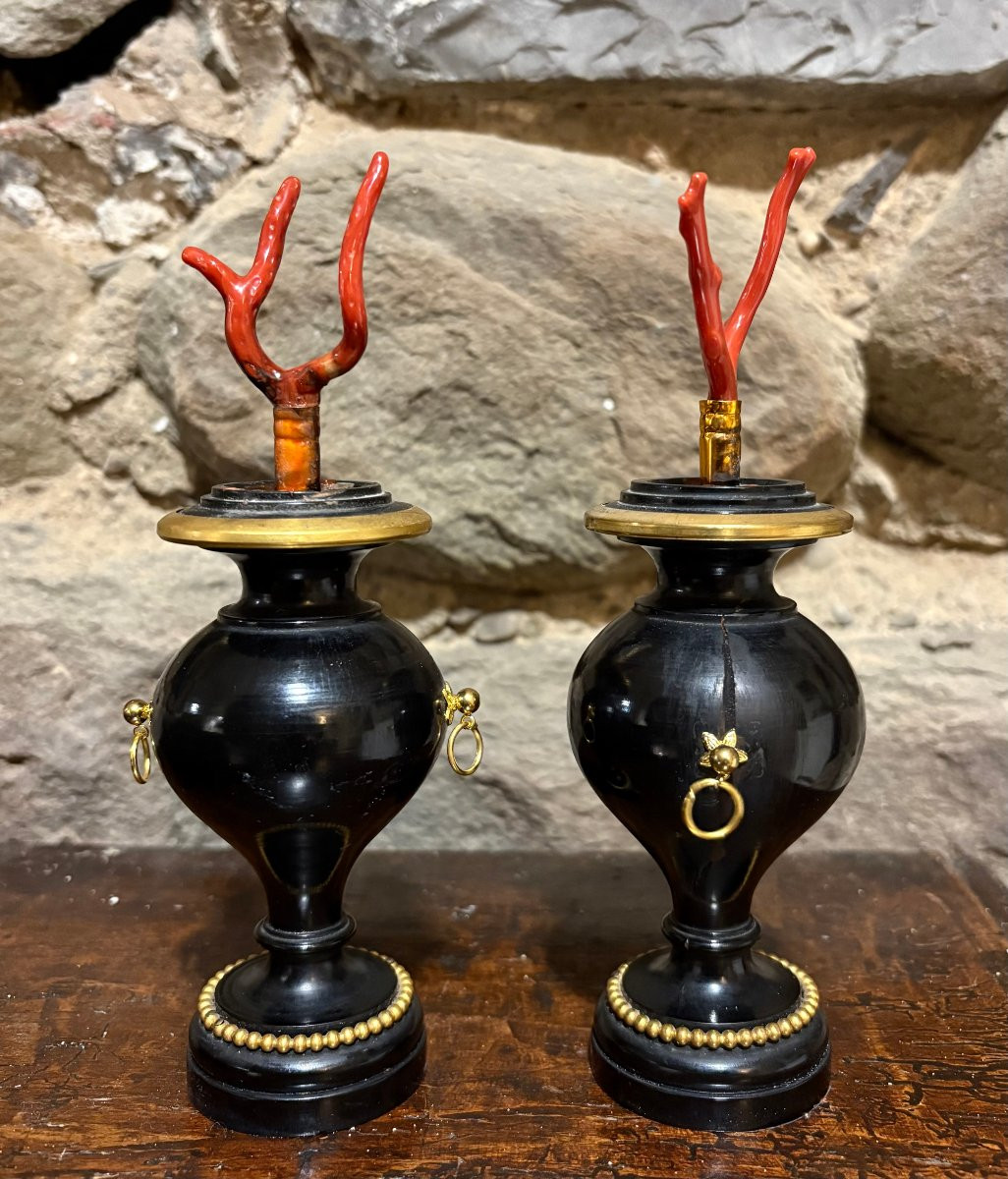 Paire de Vases  Bois et Bronze Doré avec Corail Cabinet de Curiosité-photo-2