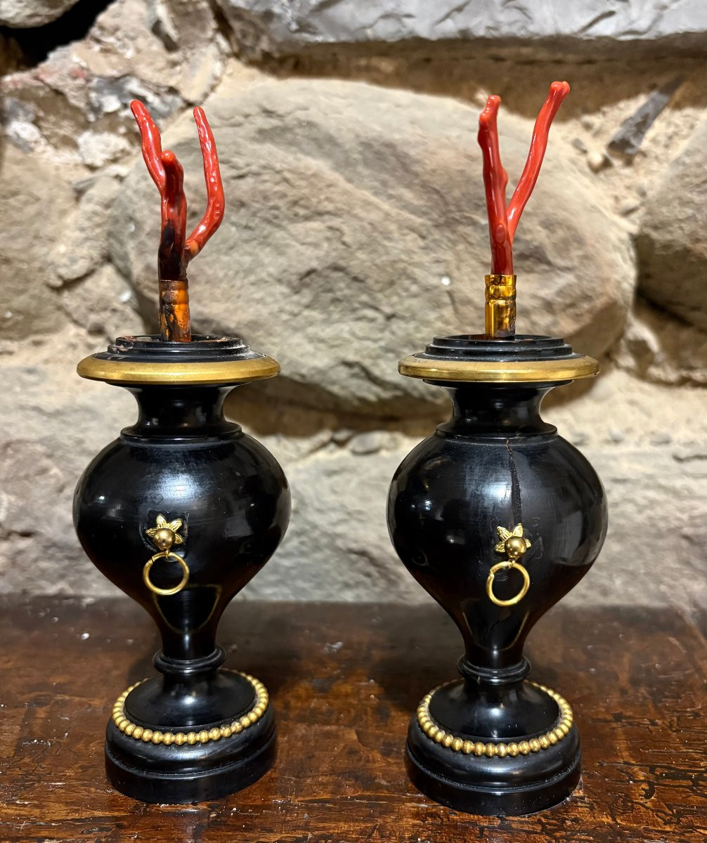 Paire de Vases  Bois et Bronze Doré avec Corail Cabinet de Curiosité-photo-3