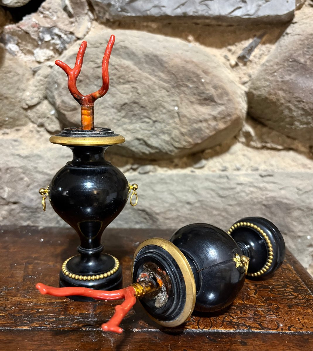 Paire de Vases  Bois et Bronze Doré avec Corail Cabinet de Curiosité-photo-1