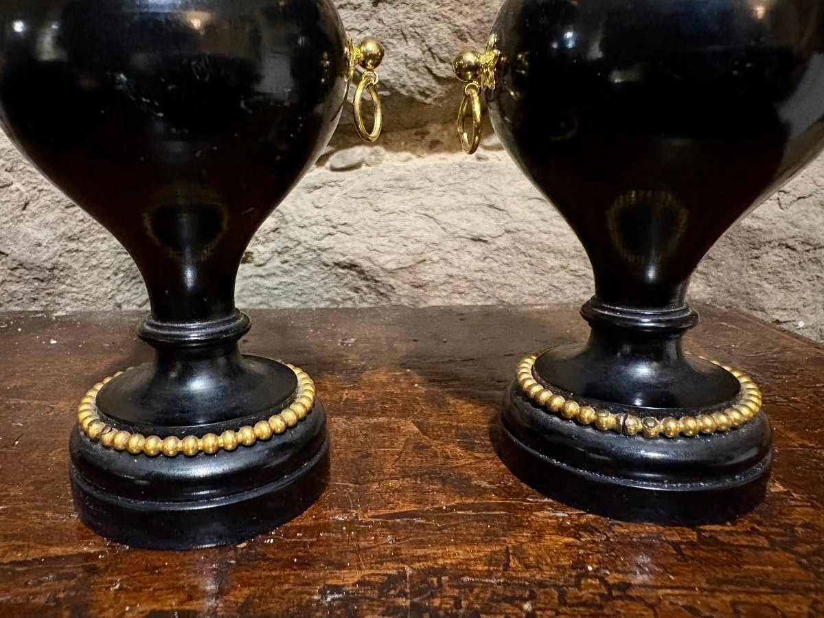 Paire de Vases  Bois et Bronze Doré avec Corail Cabinet de Curiosité-photo-2