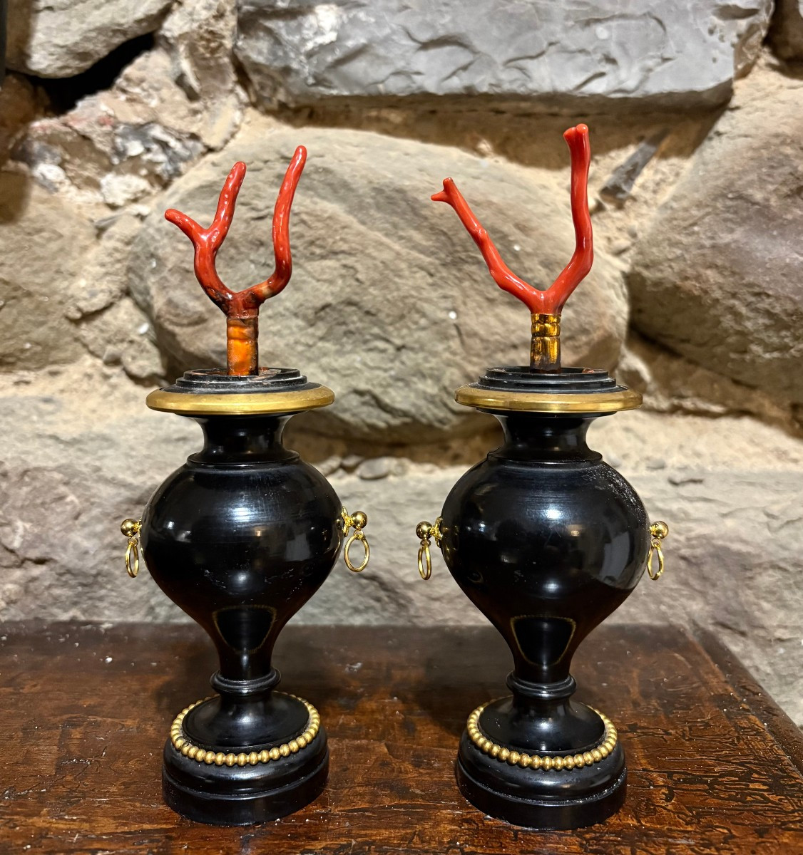 Paire de Vases  Bois et Bronze Doré avec Corail Cabinet de Curiosité