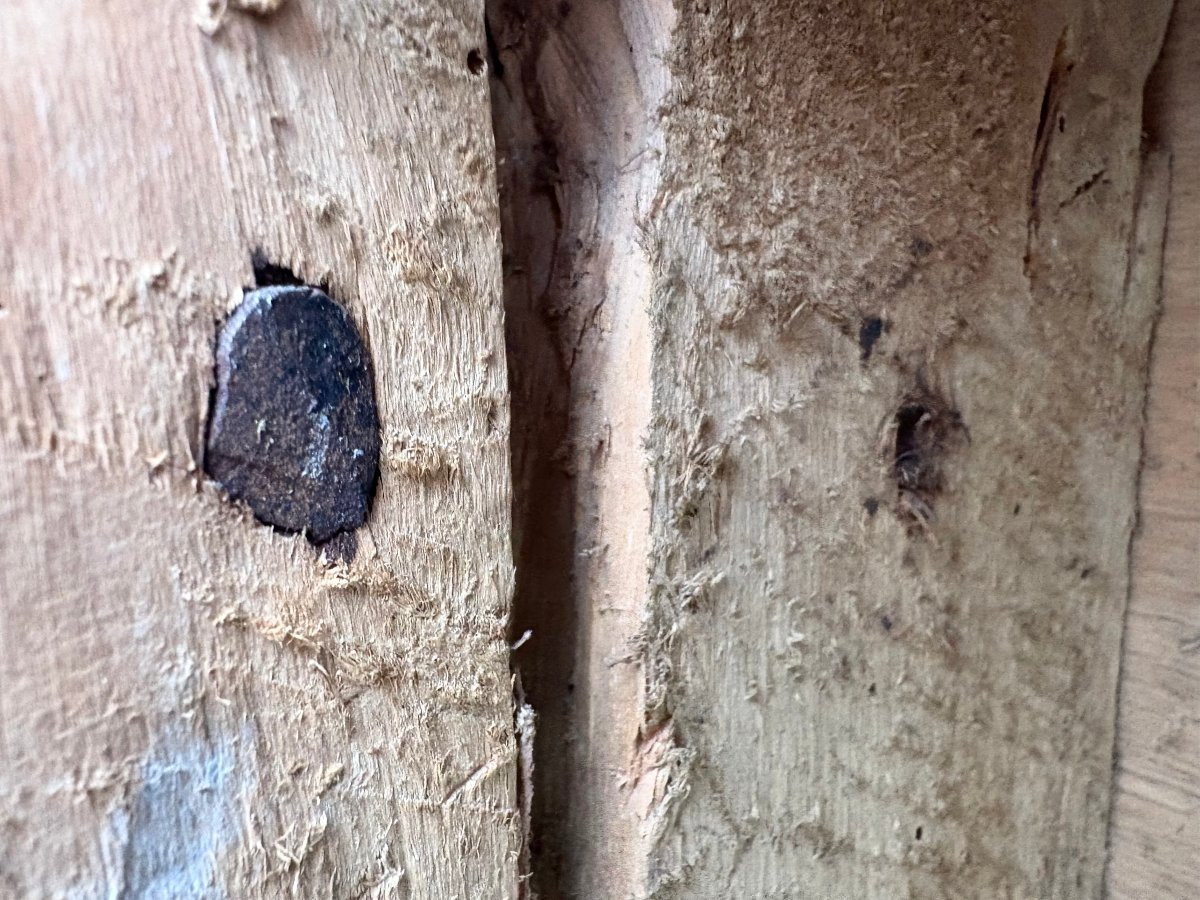 Early 18th Impressive Baroque Altar Gilt Wood Predella -photo-7