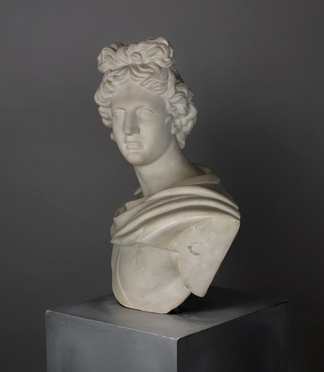 19th Marble Bust Of The Apollo Belvedere Grand Tour Roma -photo-4