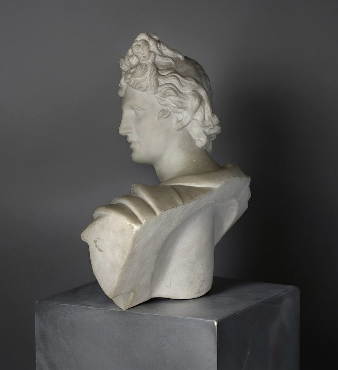 19th Marble Bust Of The Apollo Belvedere Grand Tour Roma -photo-4