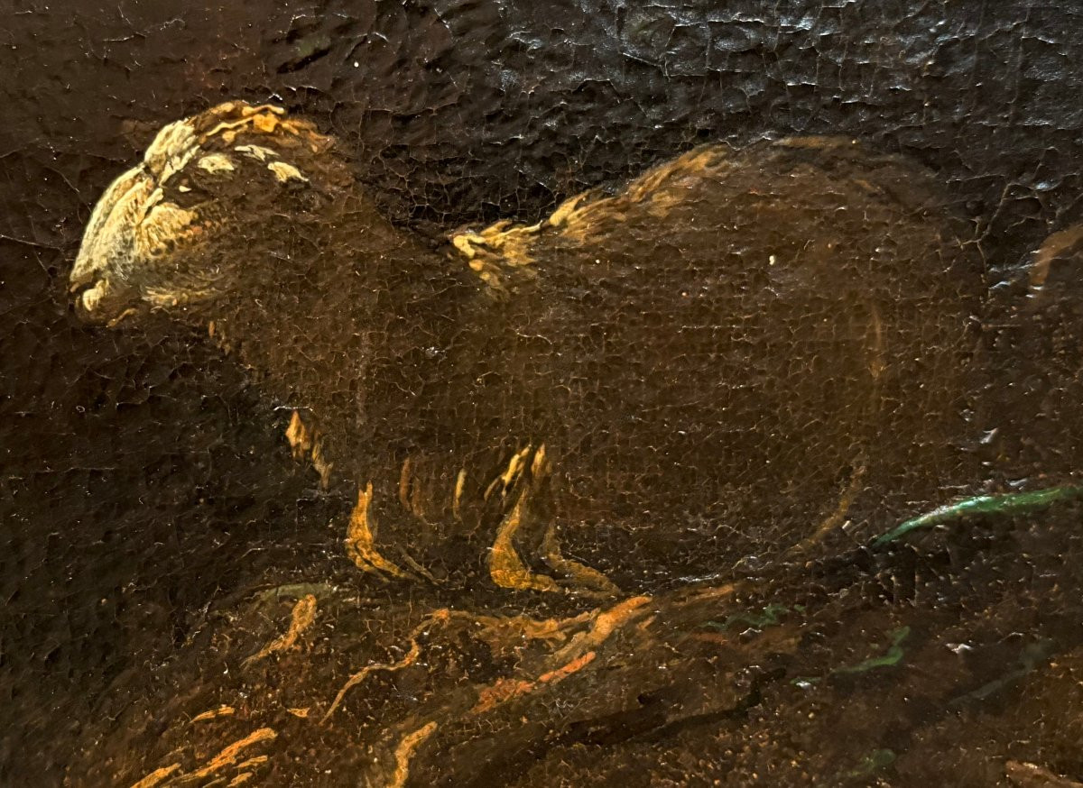 Philipp Peter Roos - Rosa Da Tivoli (1657-1706) Herds In Front Of The Old Waterfall In Tivoli-photo-1