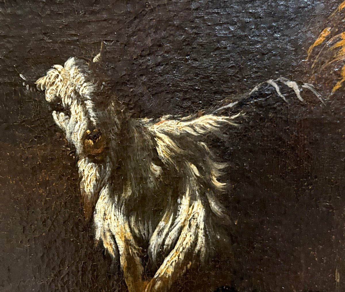 Philipp Peter Roos - Rosa Da Tivoli (1657-1706) Herds In Front Of The Old Waterfall In Tivoli-photo-4