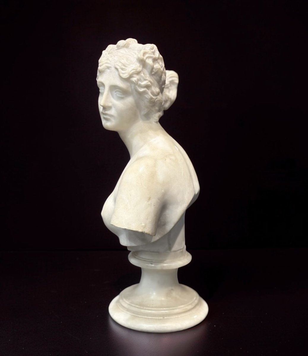 19th Marble Bust Of The Medici Venus Grand Tour -photo-1