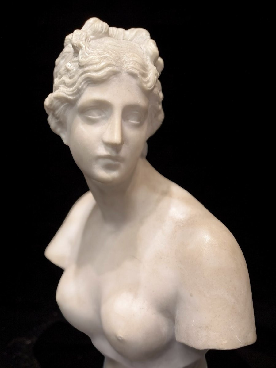 19th Marble Bust Of The Medici Venus Grand Tour -photo-2