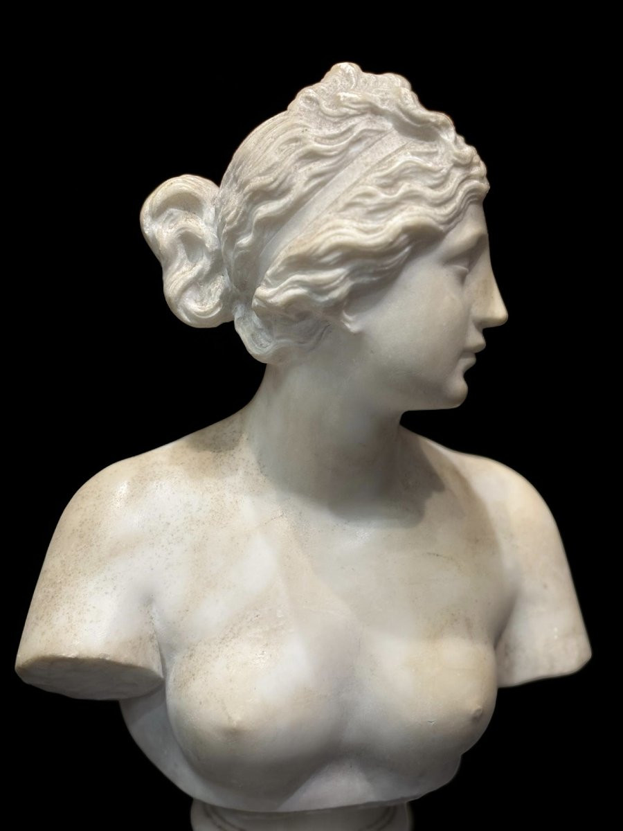 19th Marble Bust Of The Medici Venus Grand Tour -photo-3