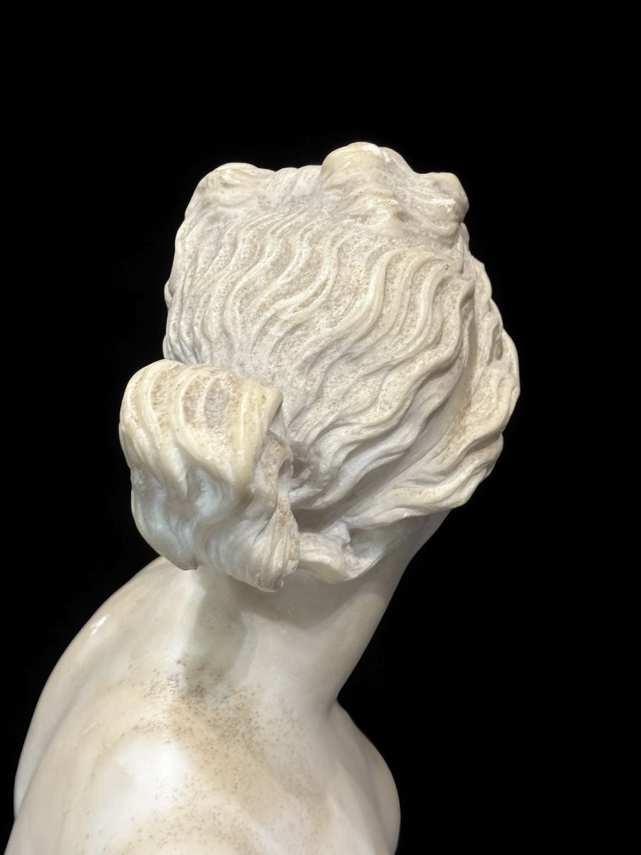 19th Marble Bust Of The Medici Venus Grand Tour -photo-4
