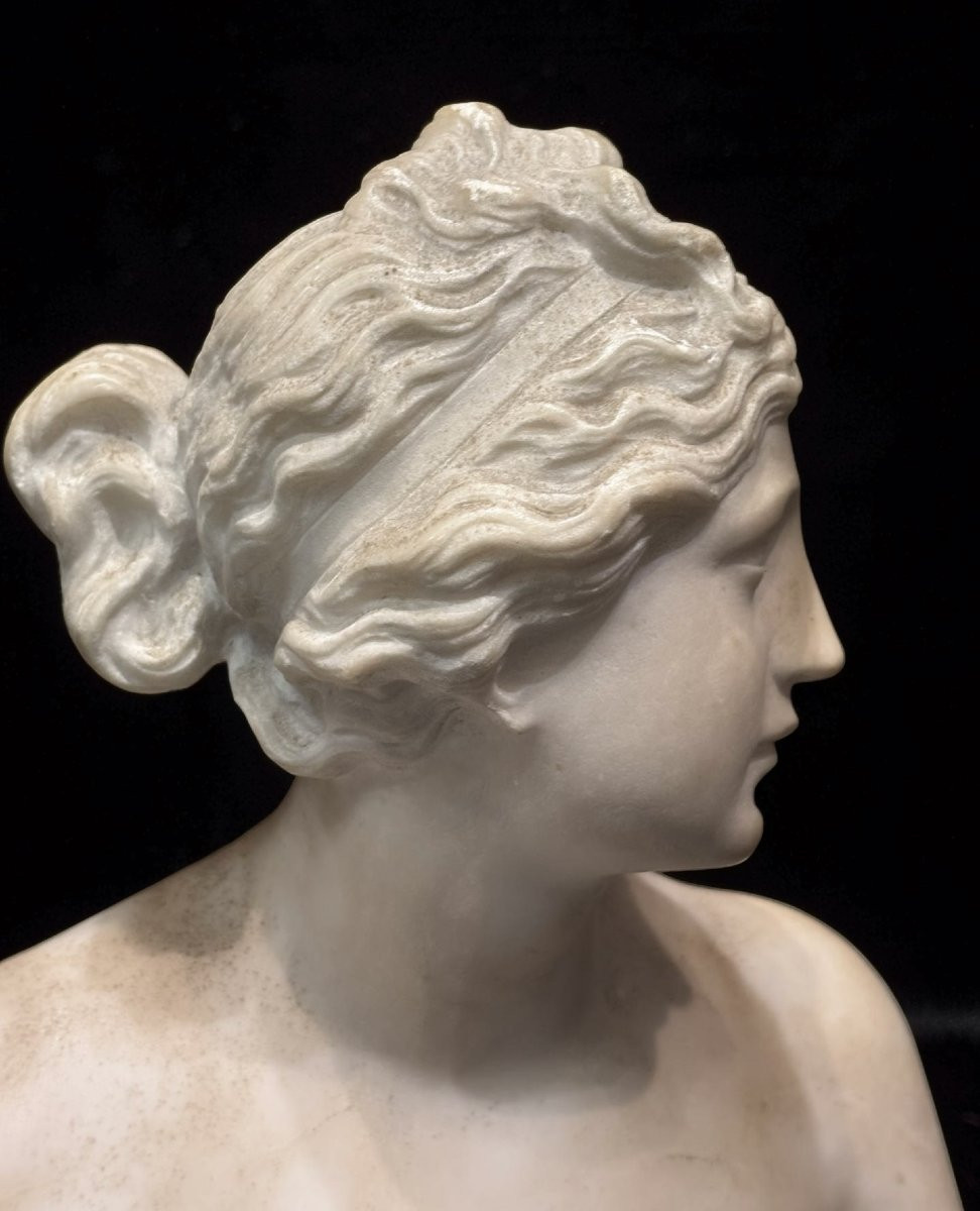 19th Marble Bust Of The Medici Venus Grand Tour -photo-6