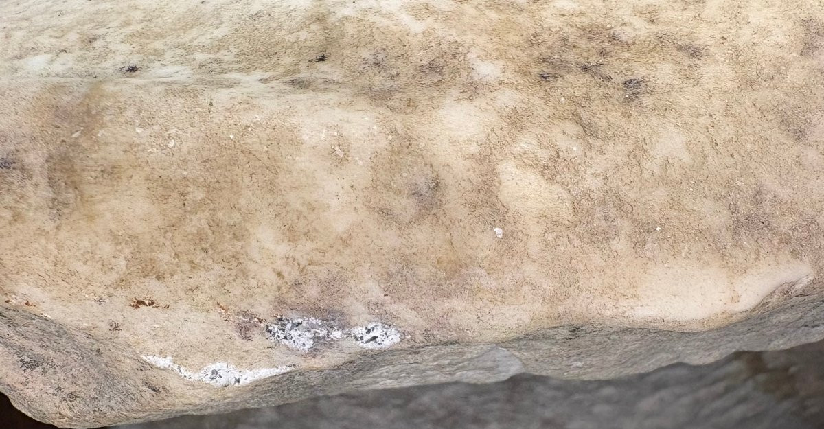 Orazio Marinali (1643-1720) Buste de Flore en Marbre -photo-4