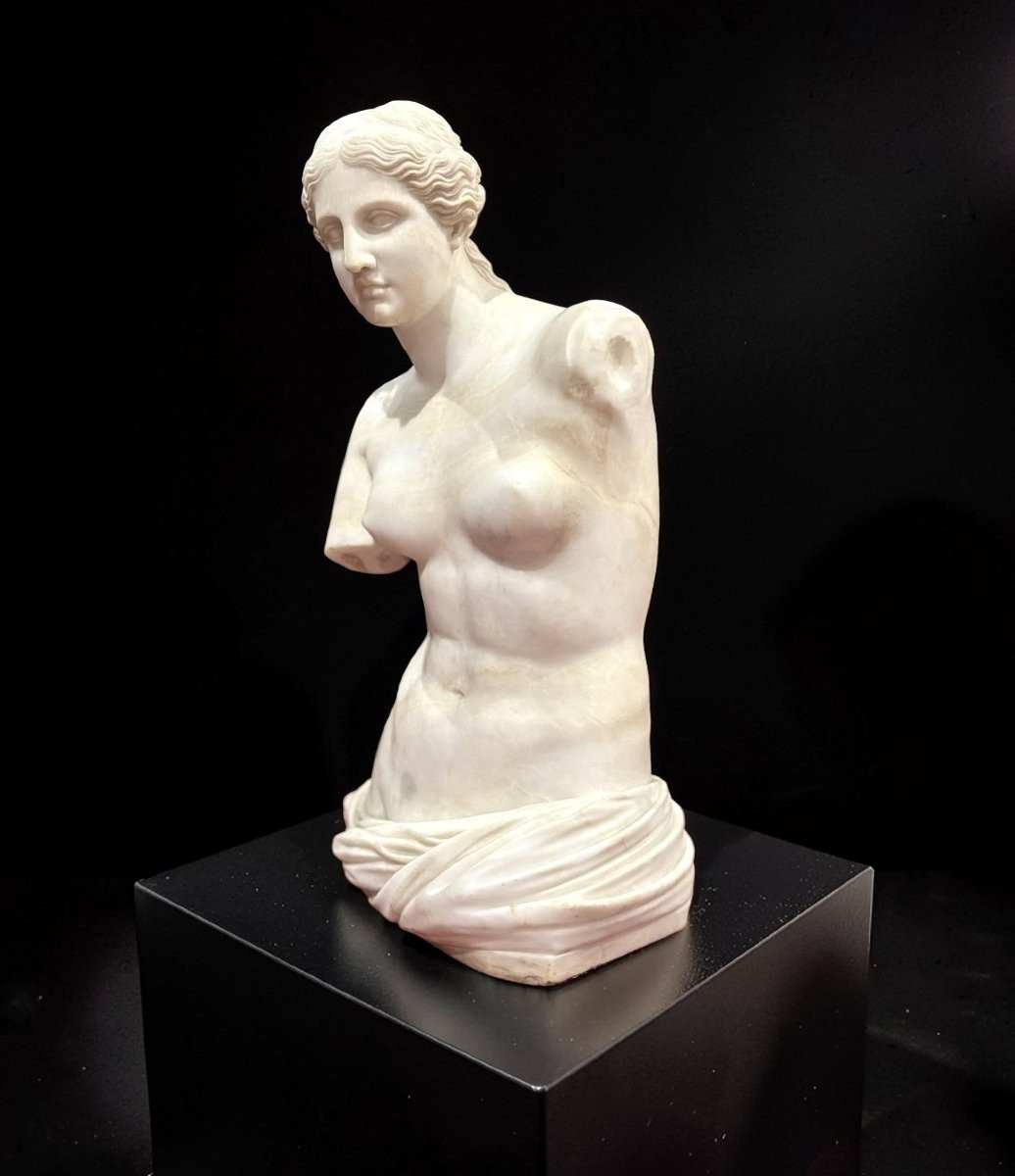 Torse de Vénus Grande Sculpture Néoclassique Grand Tour Albâtre 1860-photo-3