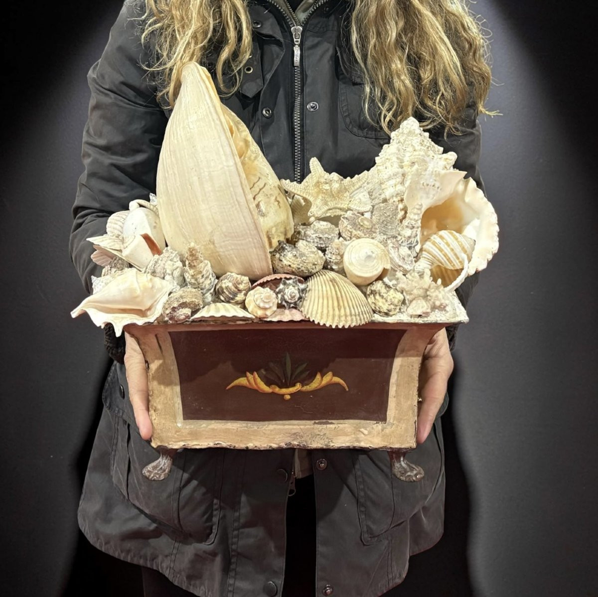 Grande Composition de Coquillages Naturalia Jardiniére Cabinet de Curiosités-photo-2