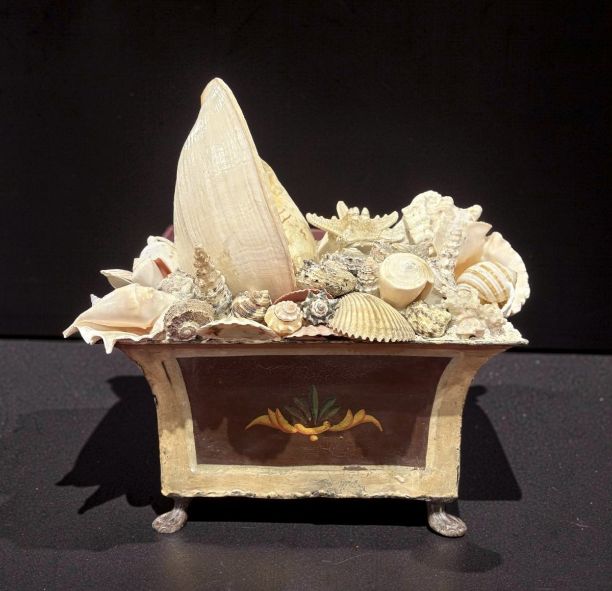 Grande Composition de Coquillages Naturalia Jardiniére Cabinet de Curiosités-photo-3
