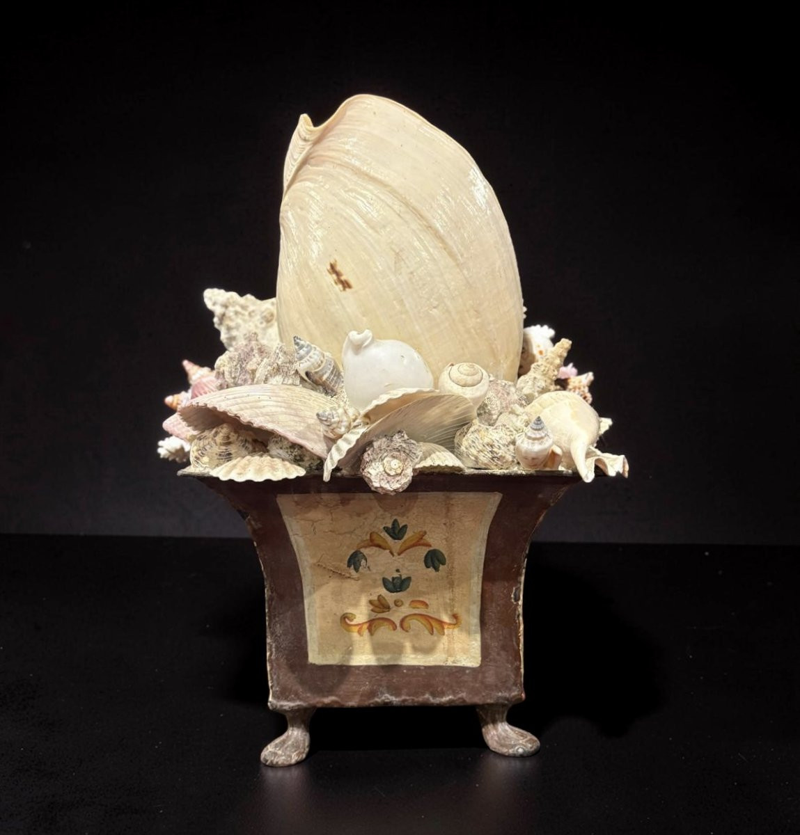 Grande Composition de Coquillages Naturalia Jardiniére Cabinet de Curiosités-photo-1