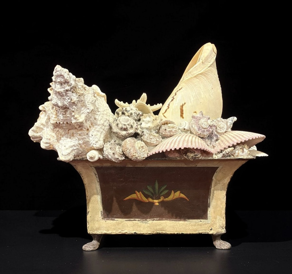 Grande Composition de Coquillages Naturalia Jardiniére Cabinet de Curiosités
