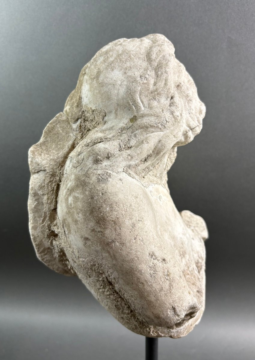 Triton en Marbre Fragment de Sculpture Italie 17éme-photo-2