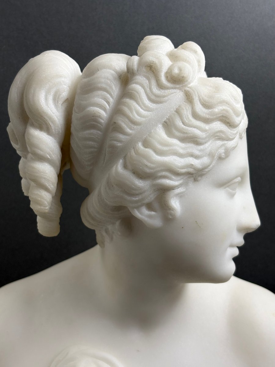 19th Florentine Marble Bust Of The Venus Italica, Grand Tour-photo-2