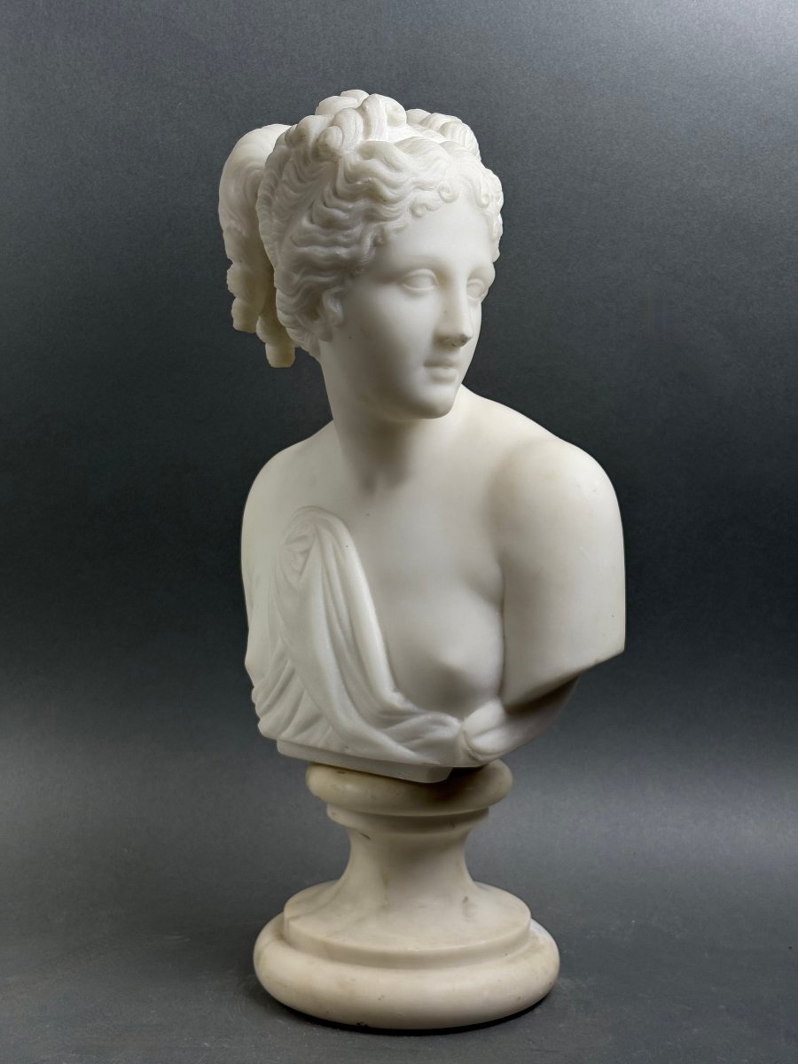 19th Florentine Marble Bust Of The Venus Italica, Grand Tour-photo-4