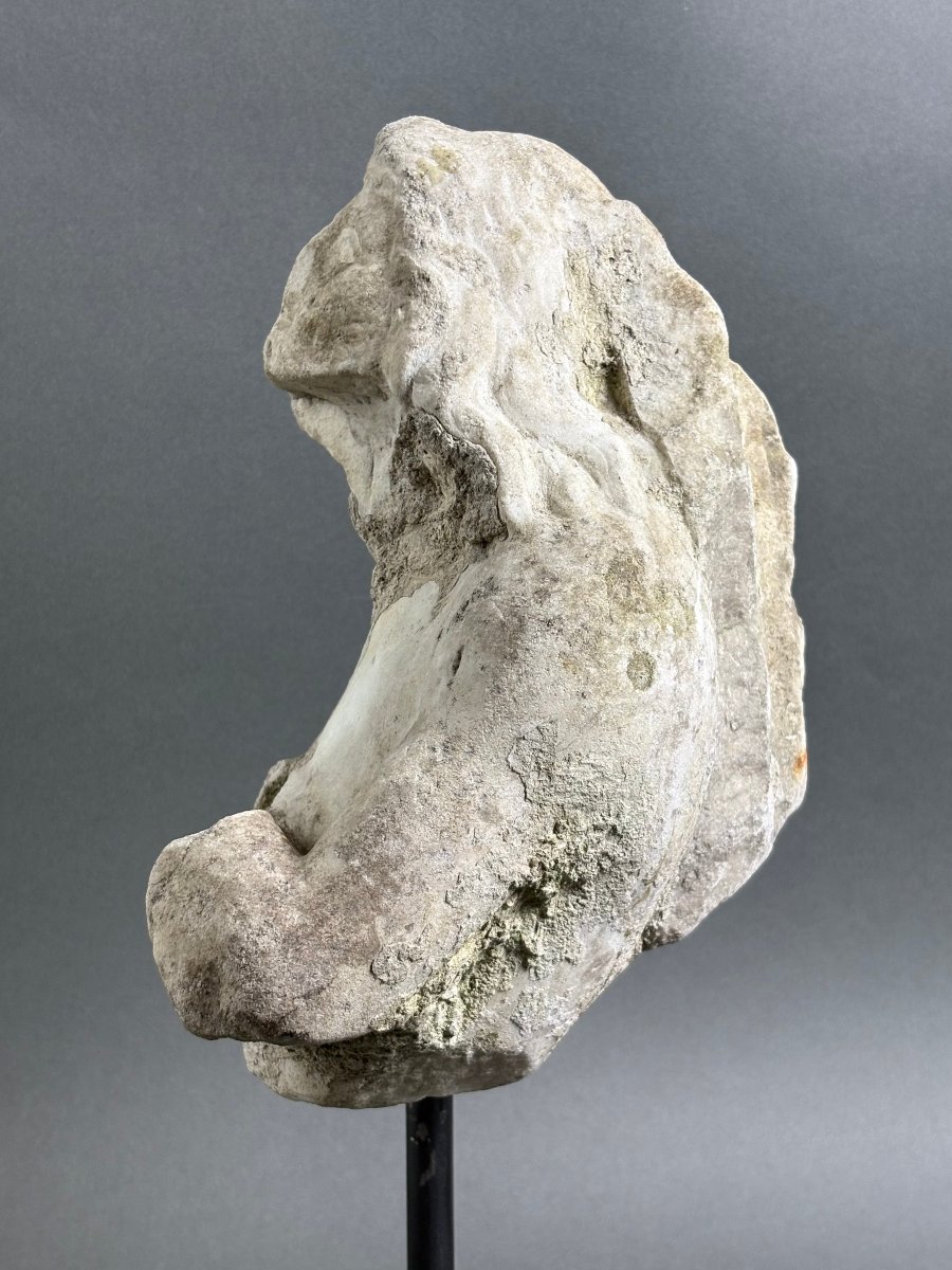 Marble Triton: Fragment Of An Italian Baroque Sculpture, Mid-17th Century-photo-5
