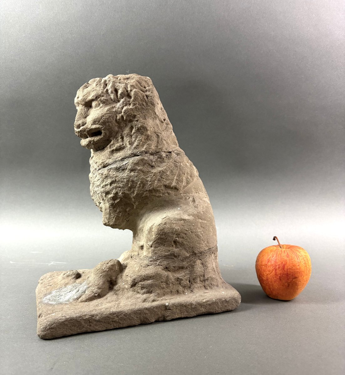 16th Sculpture In Pietra Serena Lion Marzocco Florentine School-photo-3
