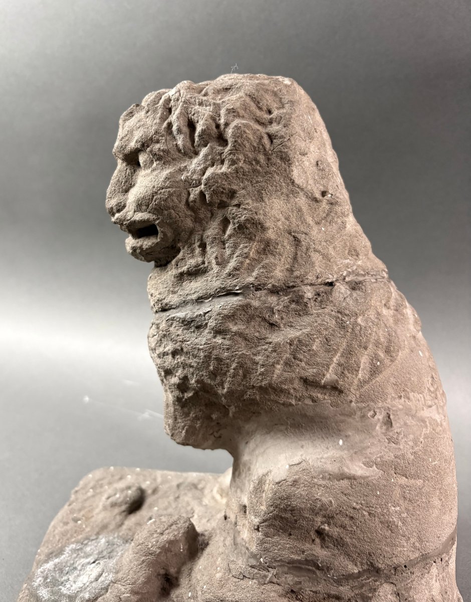 16th Sculpture In Pietra Serena Lion Marzocco Florentine School-photo-4