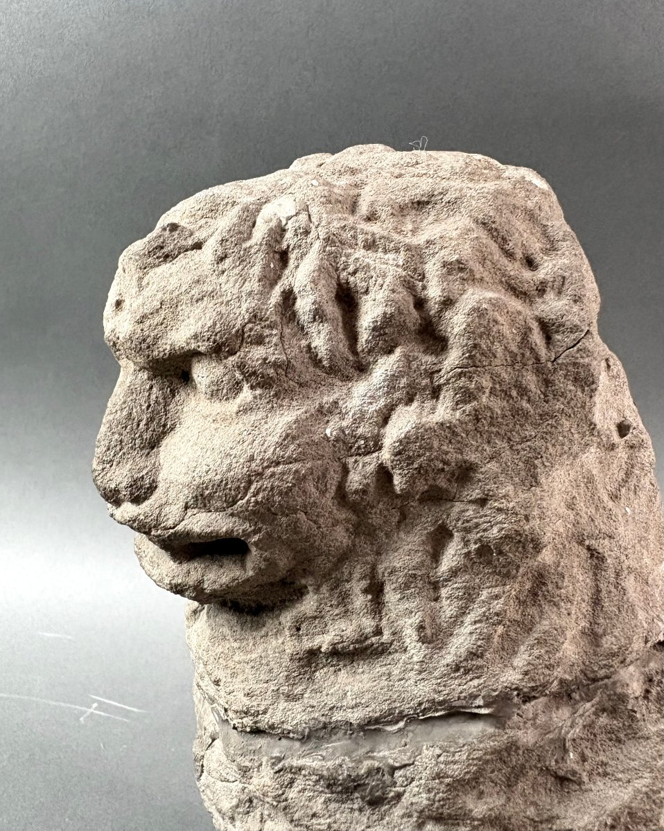 16th Sculpture In Pietra Serena Lion Marzocco Florentine School-photo-1