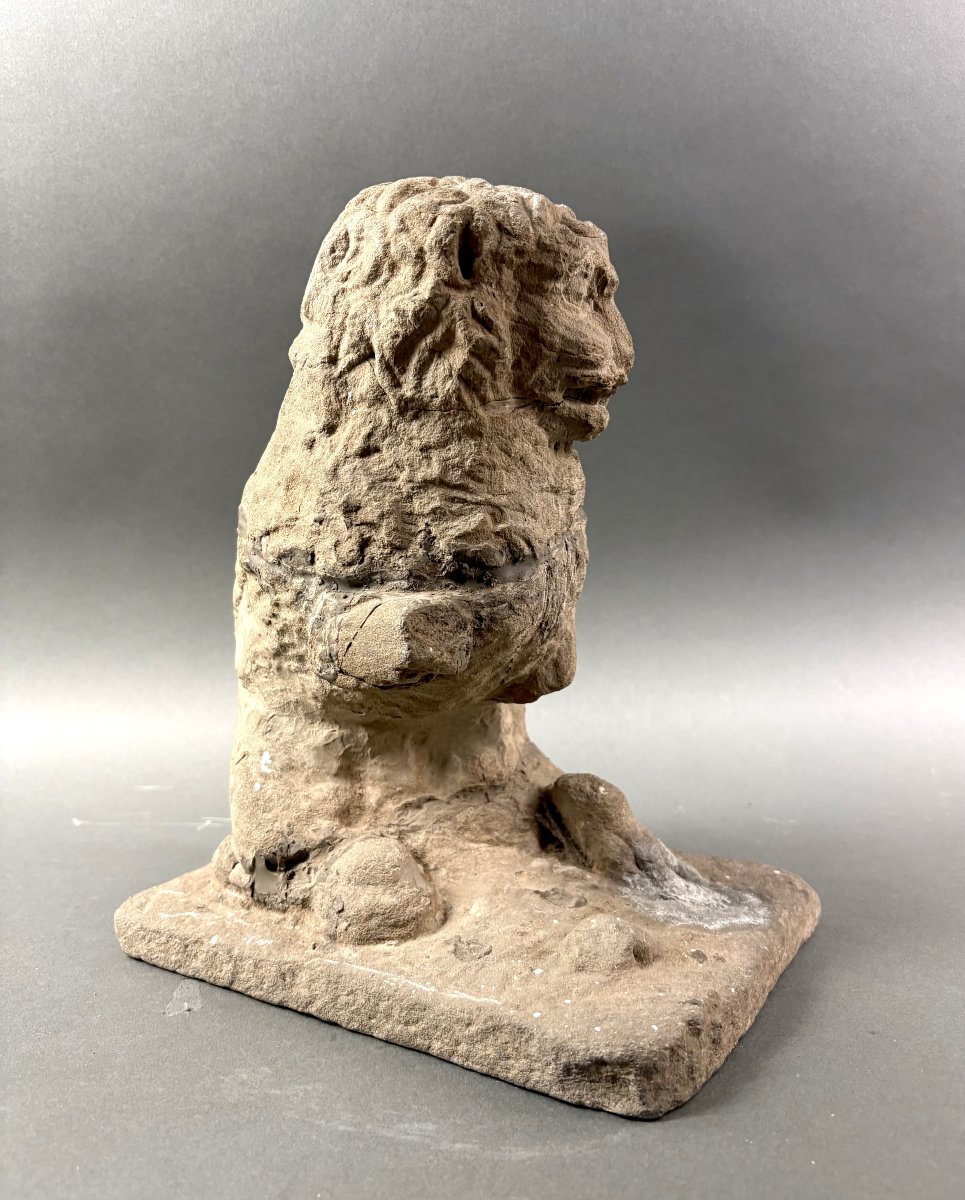 16th Sculpture In Pietra Serena Lion Marzocco Florentine School-photo-3