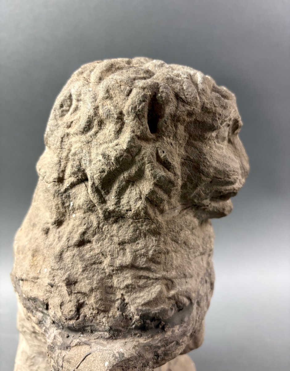 16th Sculpture In Pietra Serena Lion Marzocco Florentine School-photo-4