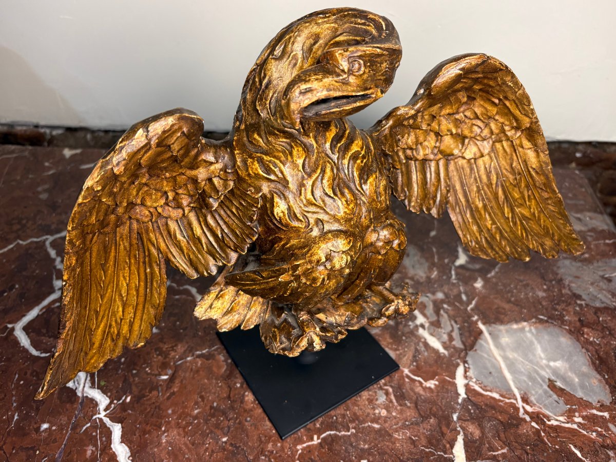 Neoclassical Eagle In Gilded Wood, Italy, 18th Century-photo-6