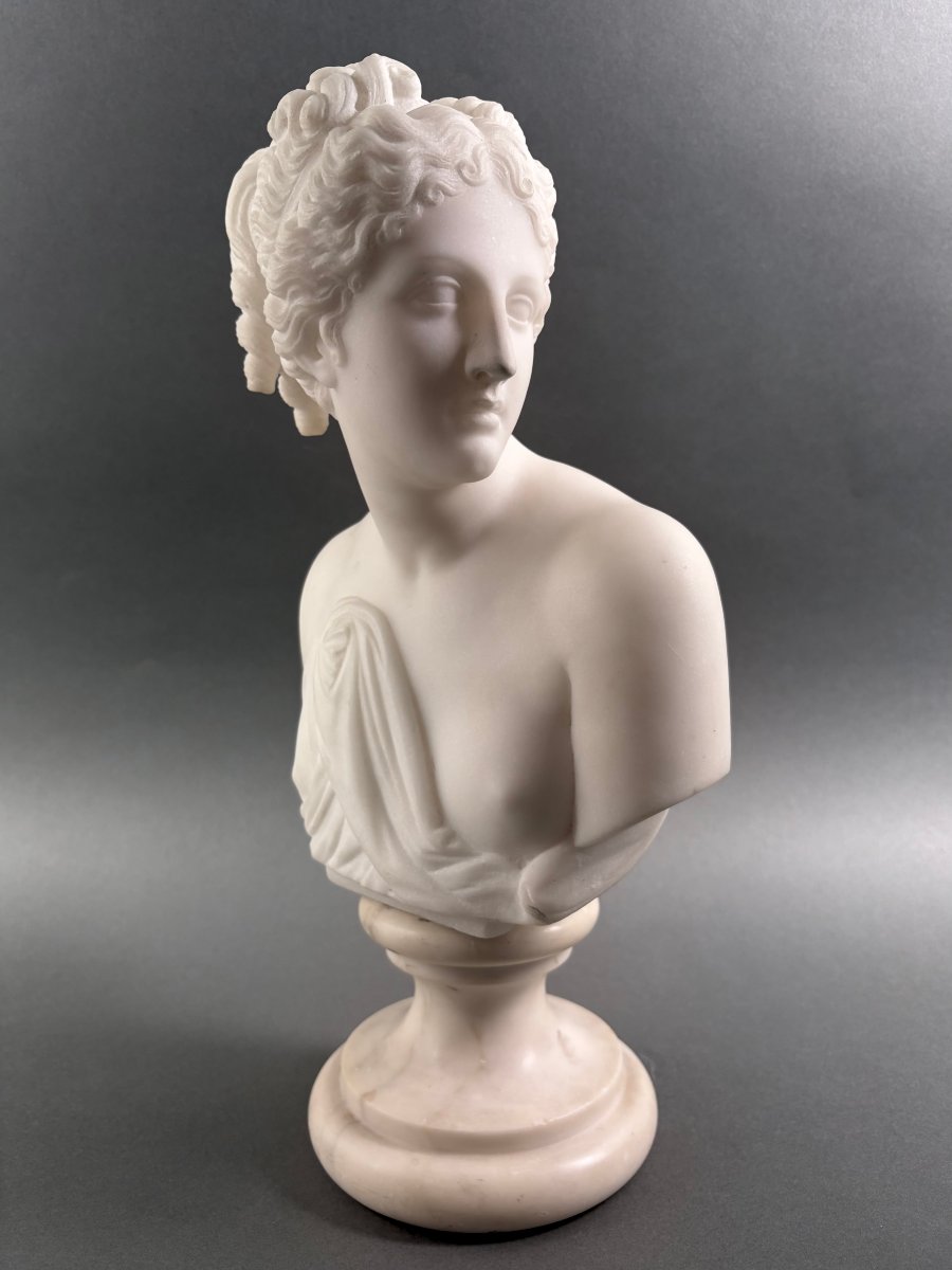 19th Marble Bust Of The Venus Italica, Grand Tour, Florence-photo-1